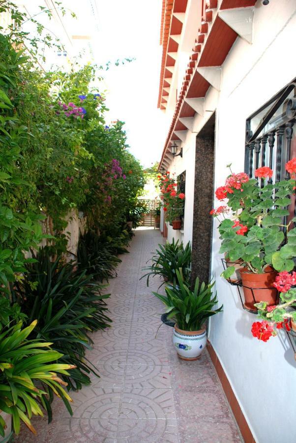 Apartamentos Inter Gandia Playa Exterior foto